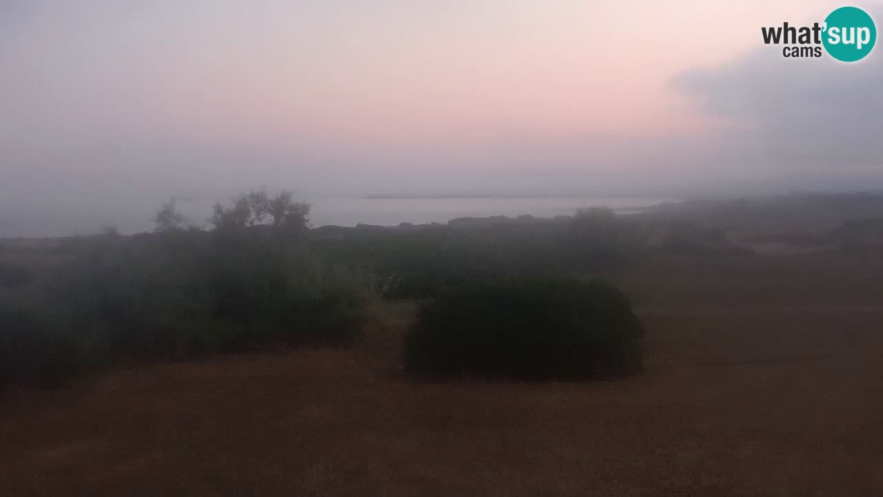 Mari Ermi Strand | Is Arutas – Oristano