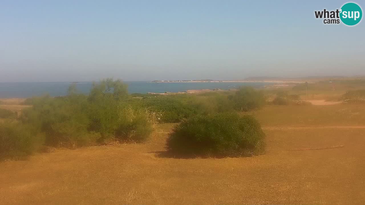 Plaža Mari Ermi | Is Arutas – Oristano
