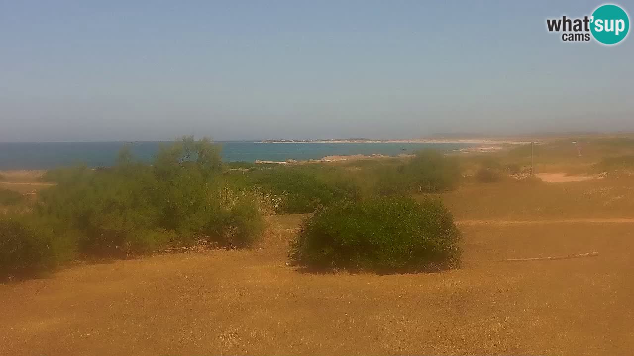 Playa Mari Ermi | Is Arutas – Oristano