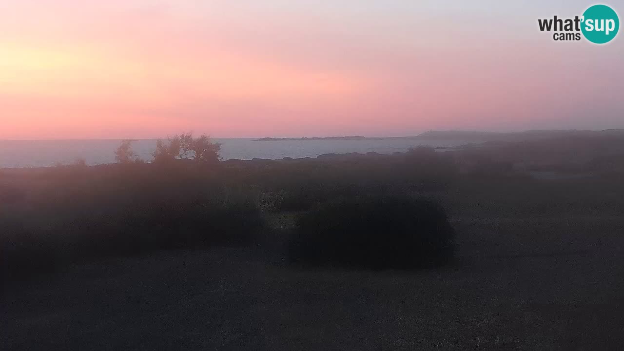 Mari Ermi Strand | Is Arutas – Oristano