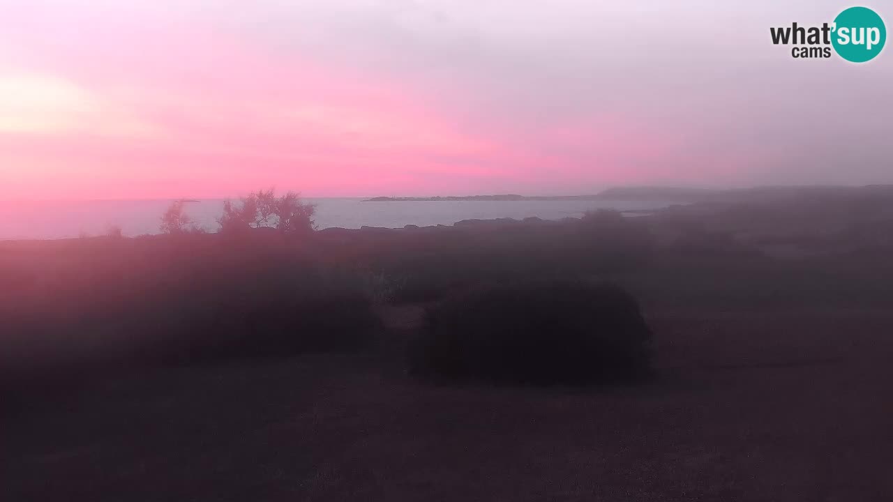 Mari Ermi Strand | Is Arutas – Oristano