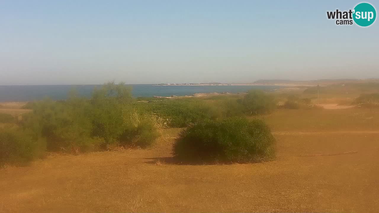 Playa Mari Ermi | Is Arutas – Oristano
