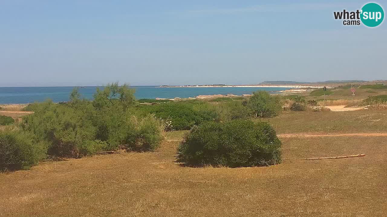 Plage Mari Ermi | Is Arutas – Oristano