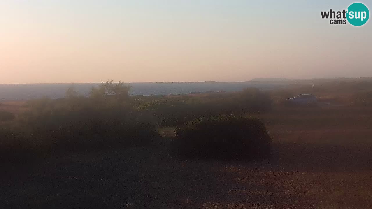 Mari Ermi Strand | Is Arutas – Oristano