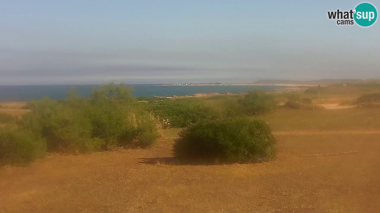 Playa Mari Ermi | Is Arutas – Oristano