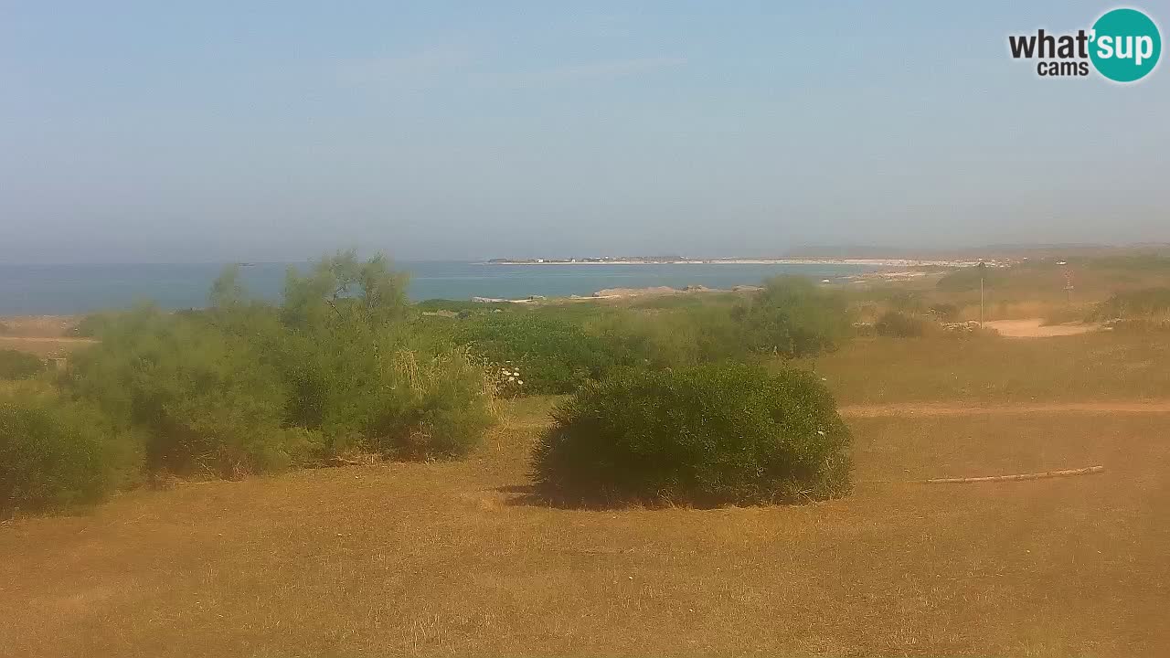 Mari Ermi Strand | Is Arutas – Oristano