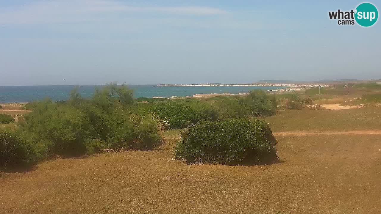 Playa Mari Ermi | Is Arutas – Oristano