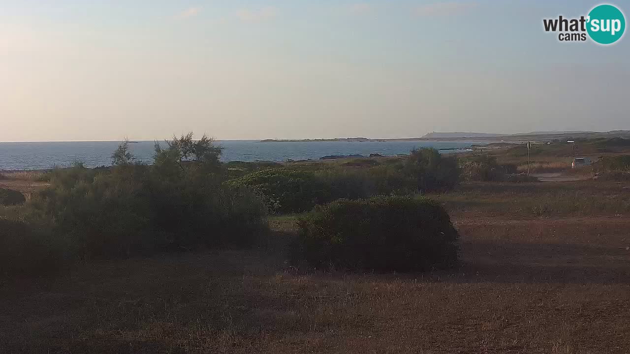 Mari Ermi Strand | Is Arutas – Oristano
