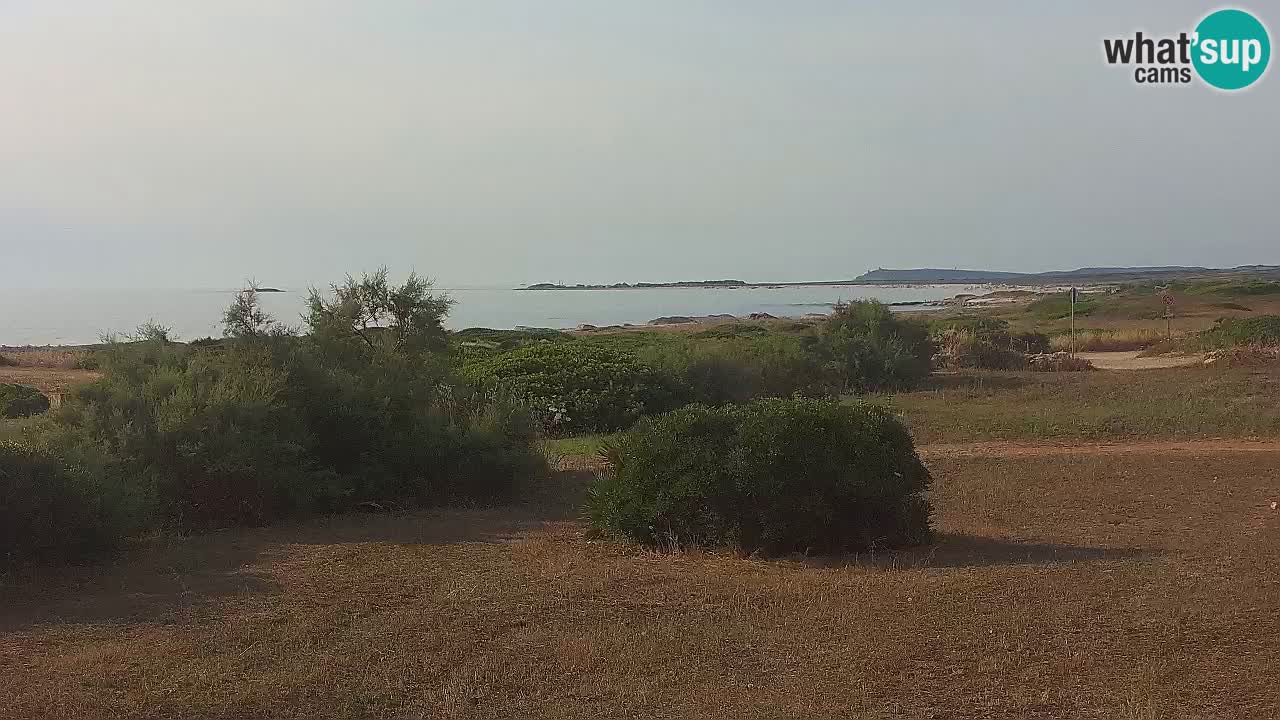 Spiaggia Mari Ermi | Is Arutas – Oristano