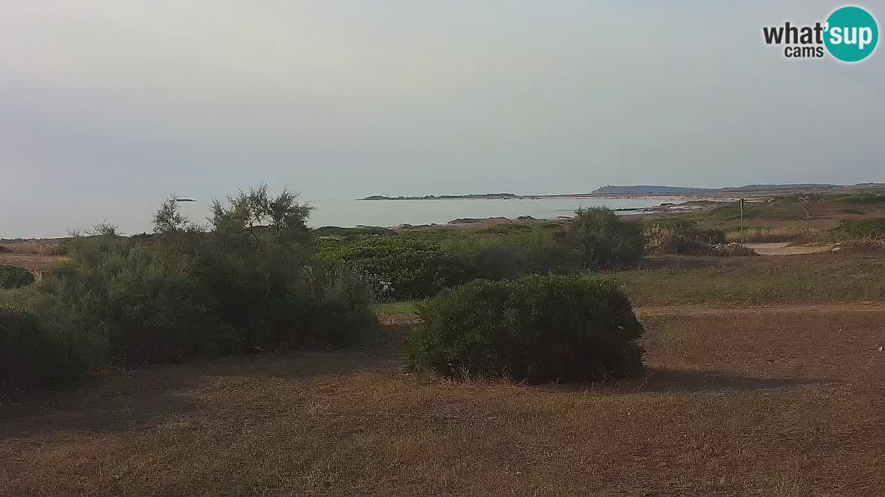 Plaža Mari Ermi | Is Arutas – Oristano