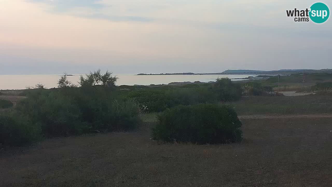 Plaža Mari Ermi | Is Arutas – Oristano