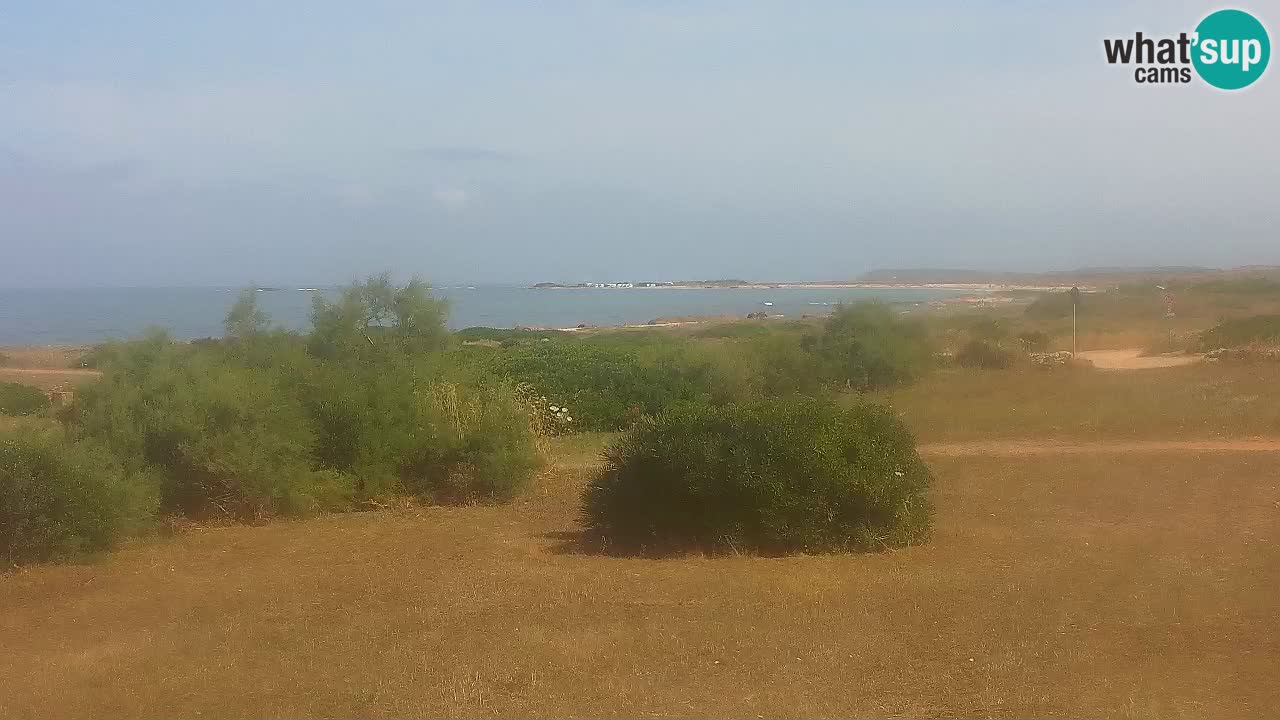 Plage Mari Ermi | Is Arutas – Oristano