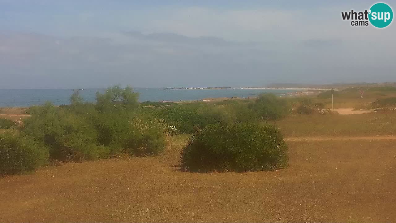 Plaža Mari Ermi | Is Arutas – Oristano