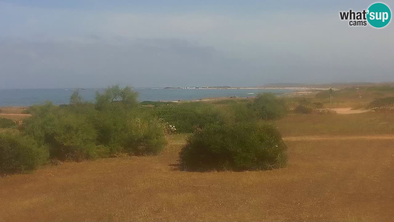 Plaža Mari Ermi | Is Arutas – Oristano