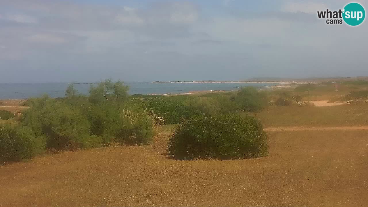 Spiaggia Mari Ermi | Is Arutas – Oristano