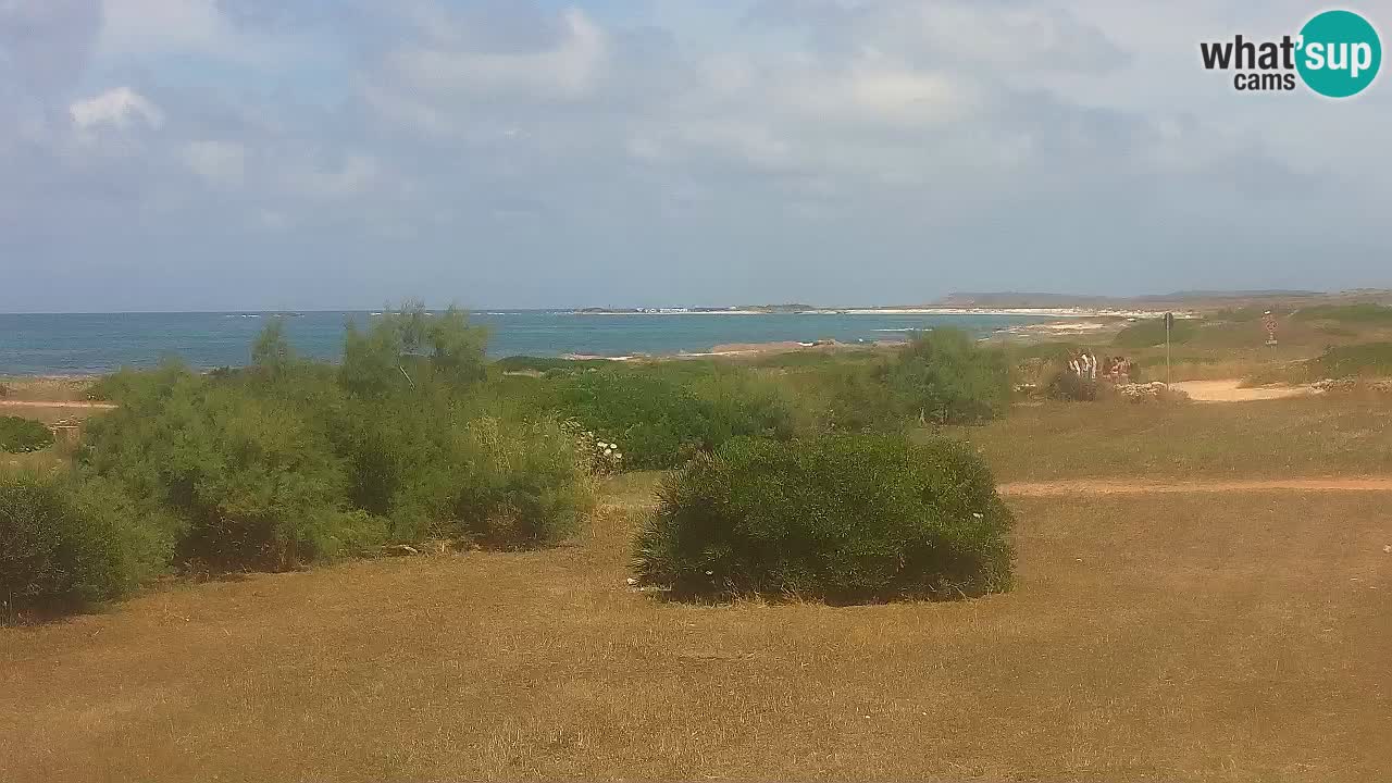 Playa Mari Ermi | Is Arutas – Oristano