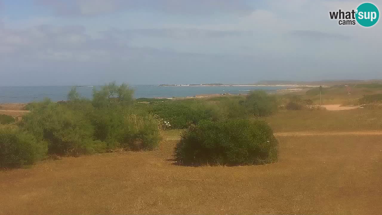 Playa Mari Ermi | Is Arutas – Oristano