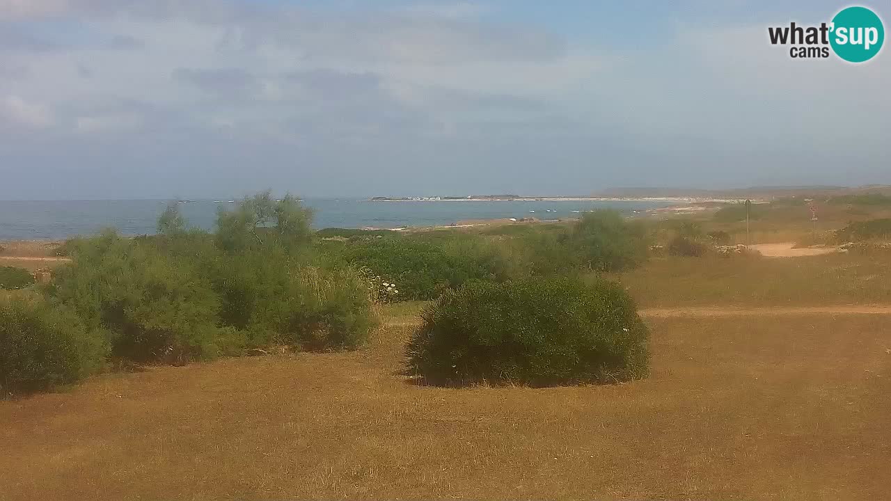 Mari Ermi Strand | Is Arutas – Oristano