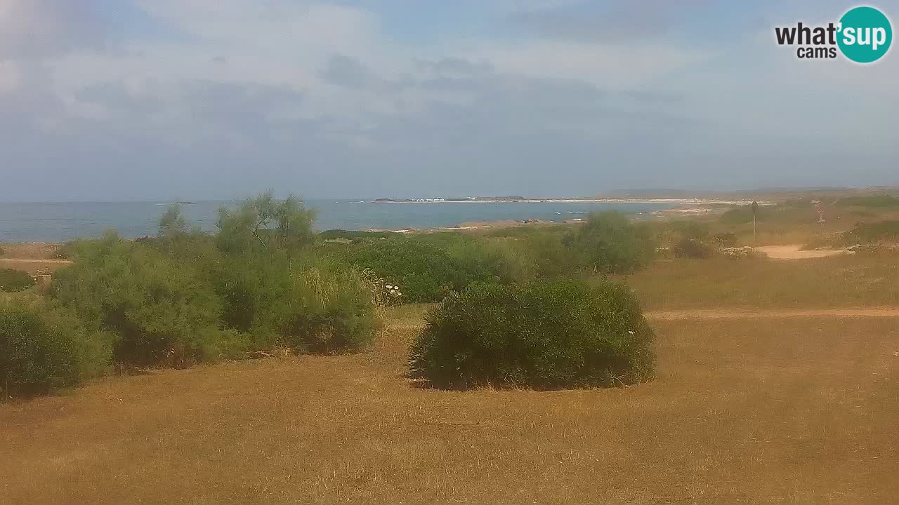 Mari Ermi Strand | Is Arutas – Oristano