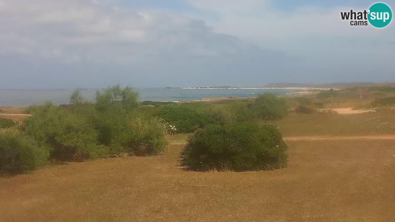 Plaža Mari Ermi | Is Arutas – Oristano