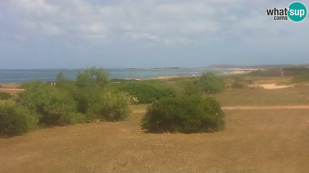 Playa Mari Ermi | Is Arutas – Oristano