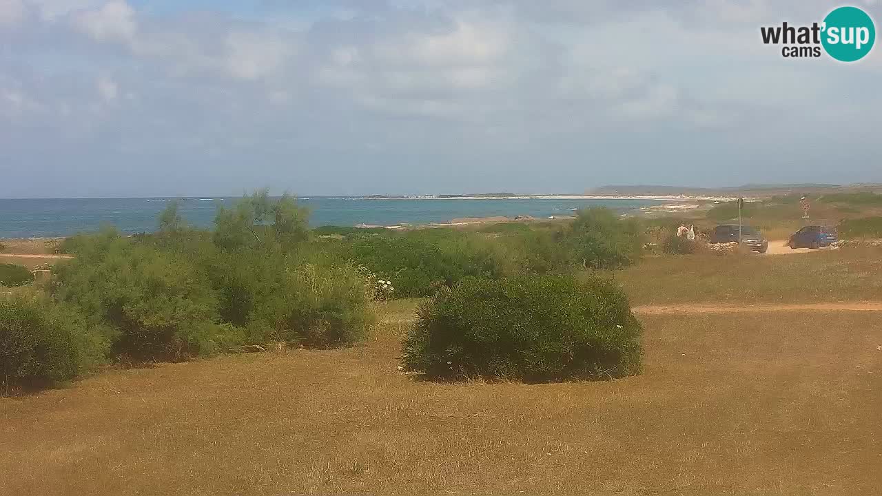 Plage Mari Ermi | Is Arutas – Oristano