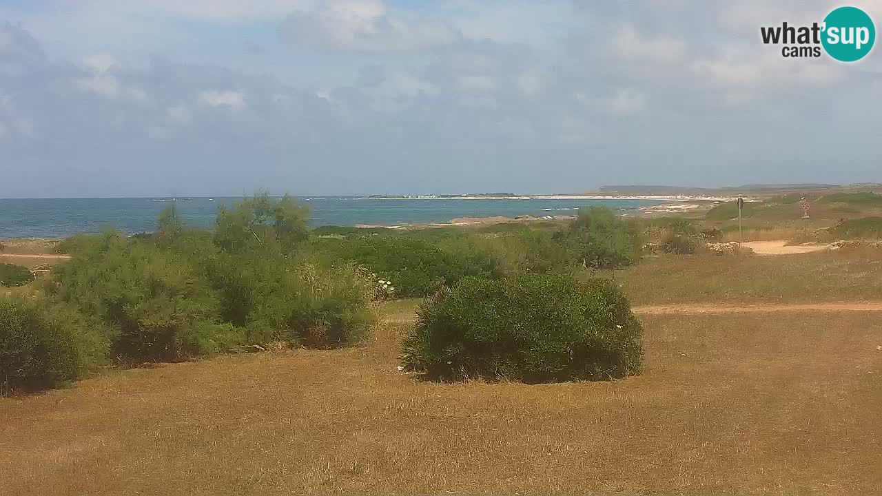 Playa Mari Ermi | Is Arutas – Oristano