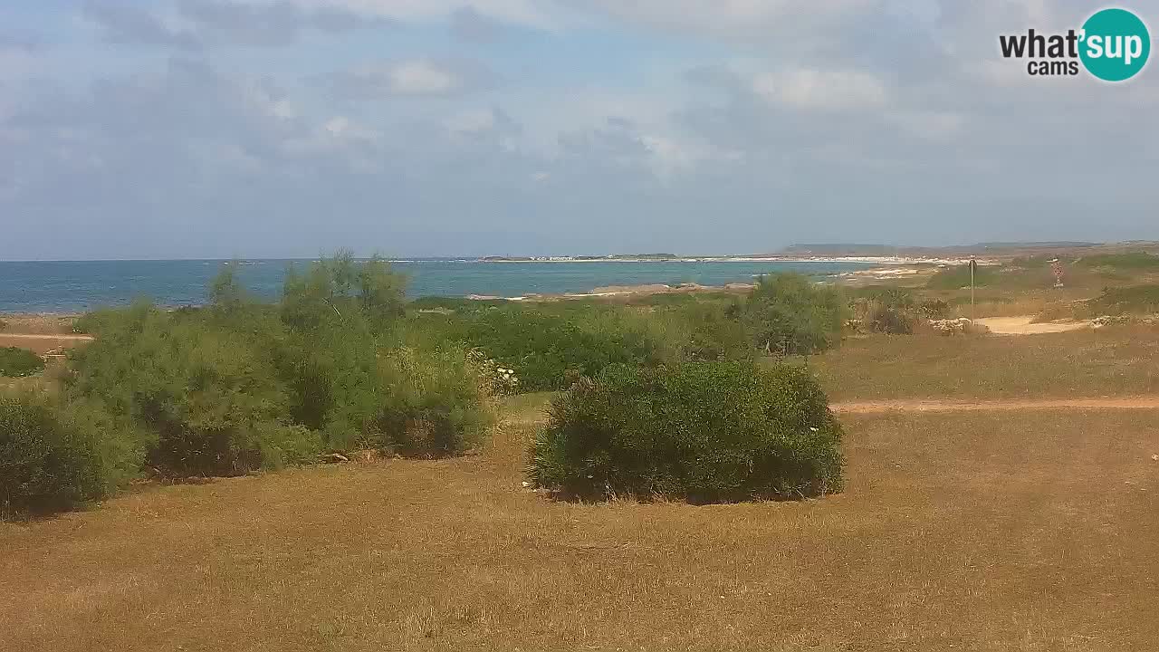 Mari Ermi Strand | Is Arutas – Oristano