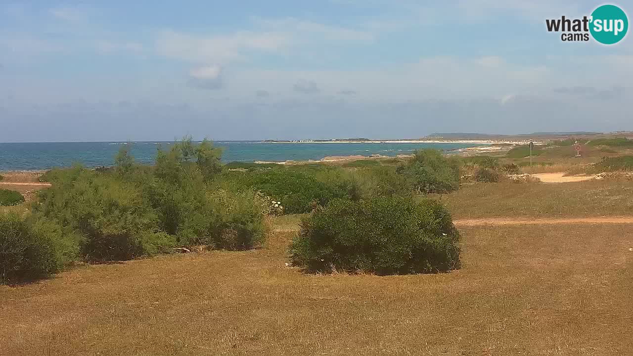 Mari Ermi Strand | Is Arutas – Oristano
