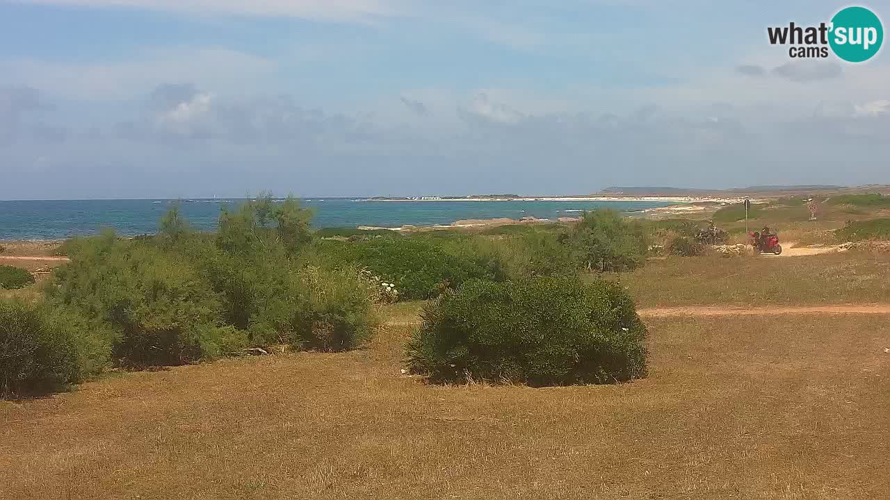 Mari Ermi Strand | Is Arutas – Oristano