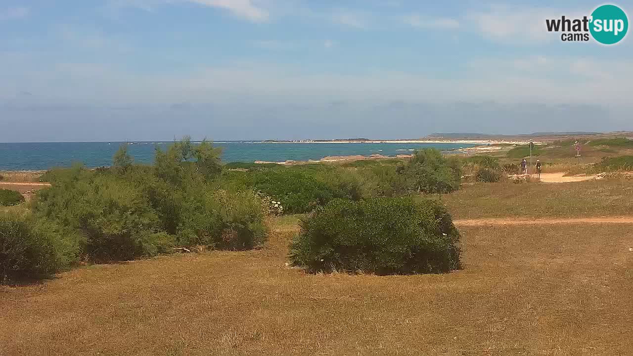 Spiaggia Mari Ermi | Is Arutas – Oristano