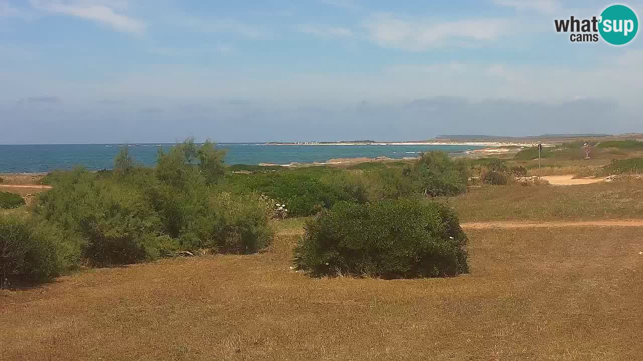 Plage Mari Ermi | Is Arutas – Oristano