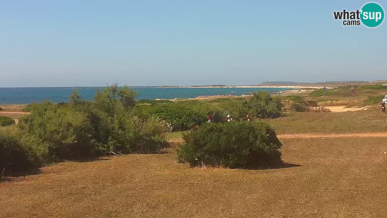 Mari Ermi Strand | Is Arutas – Oristano