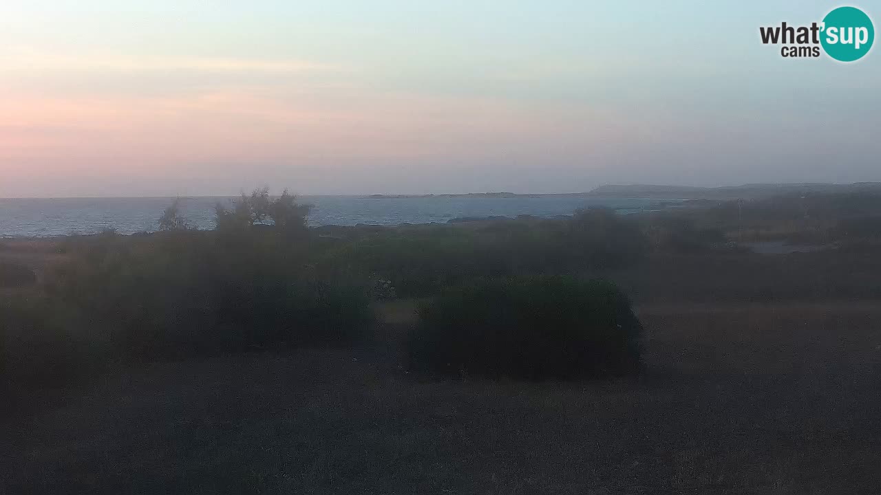 Mari Ermi Strand | Is Arutas – Oristano