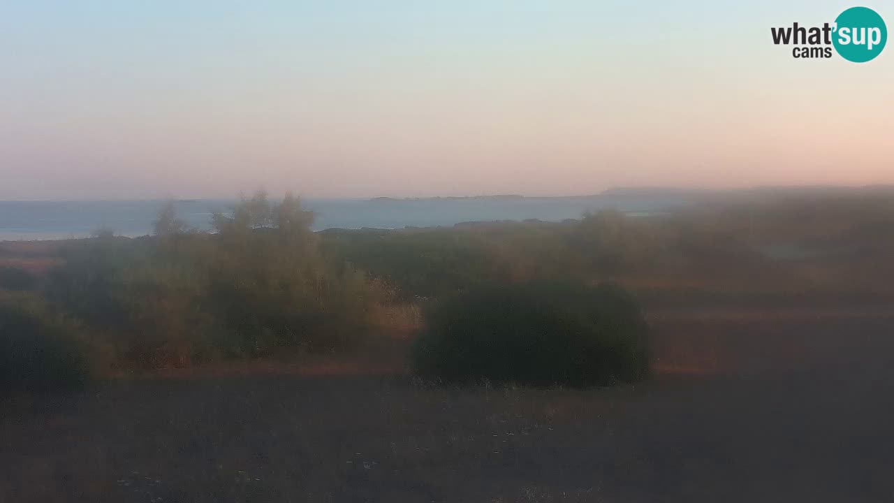 Playa Mari Ermi | Is Arutas – Oristano