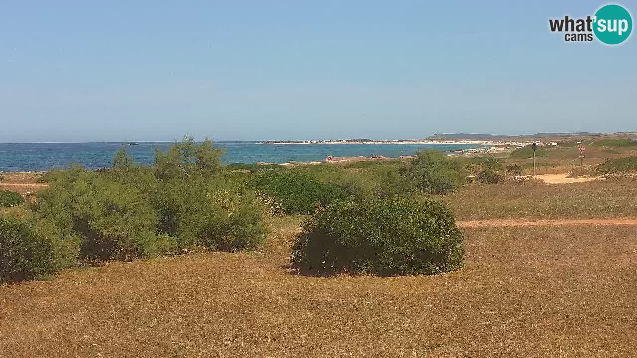 Plaža Mari Ermi | Is Arutas – Oristano