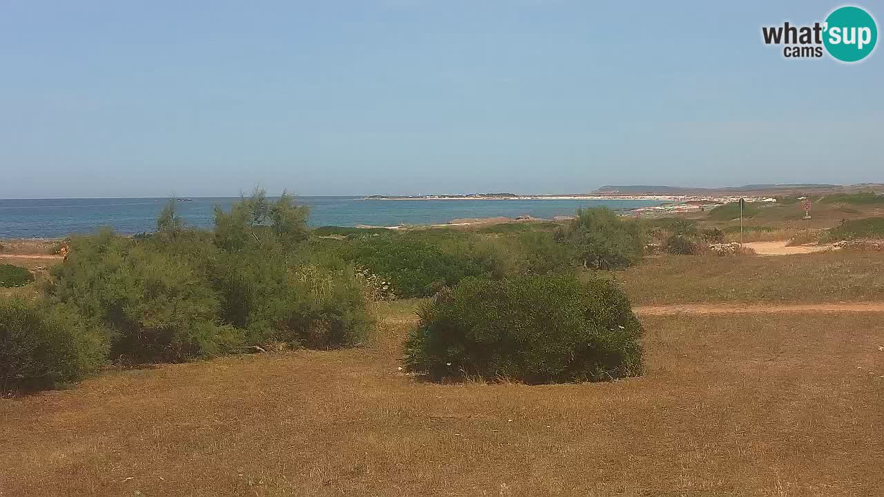Plaža Mari Ermi | Is Arutas – Oristano