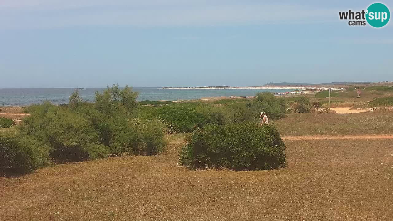Plaža Mari Ermi | Is Arutas – Oristano