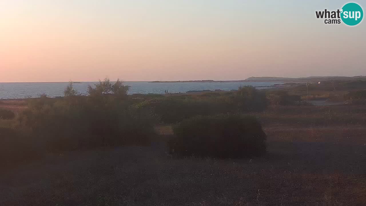 Playa Mari Ermi | Is Arutas – Oristano