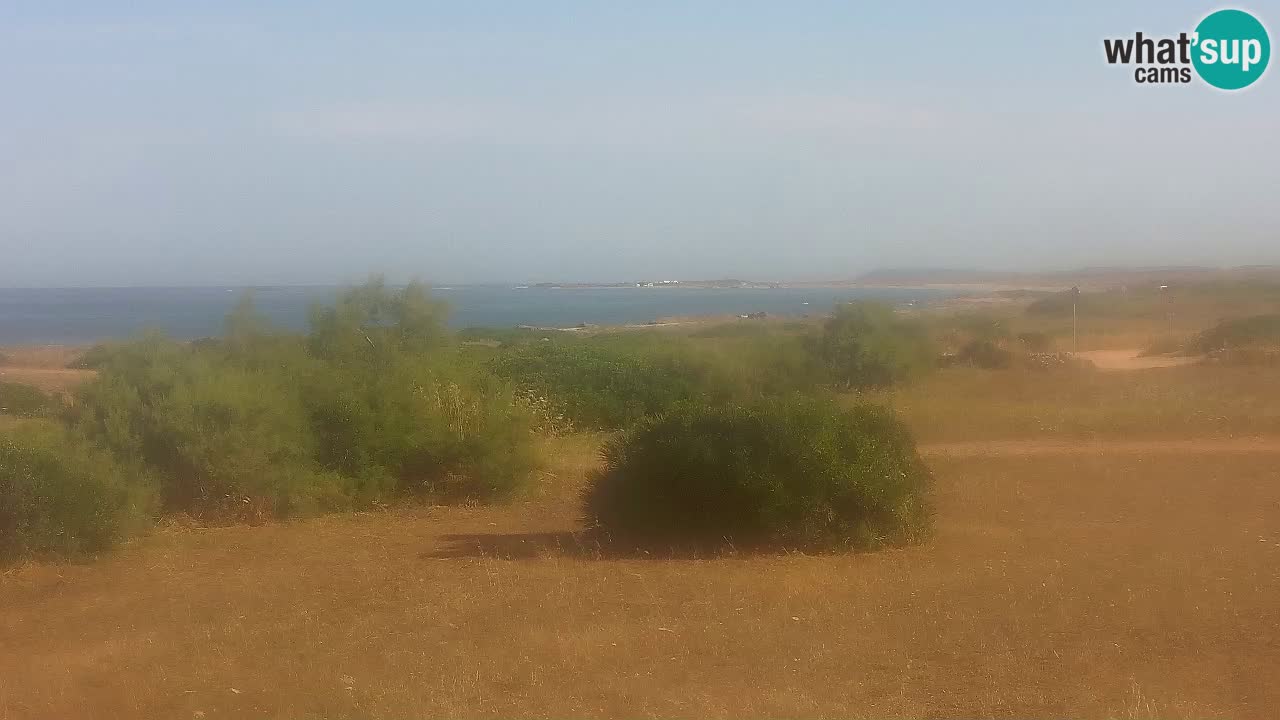 Plaža Mari Ermi | Is Arutas – Oristano