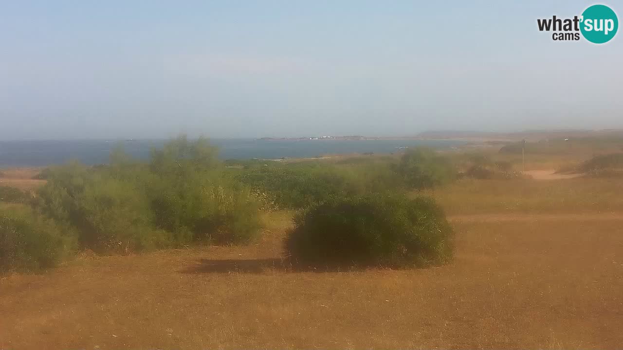 Plaža Mari Ermi | Is Arutas – Oristano