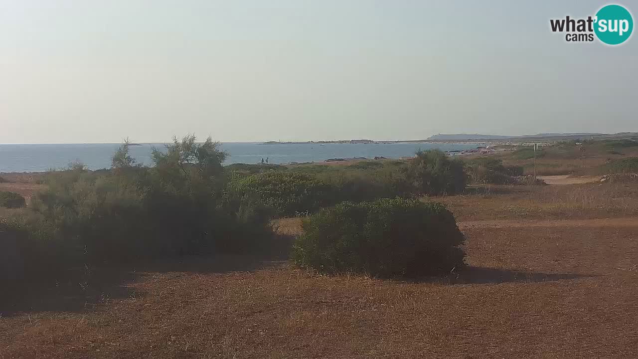 Mari Ermi Strand | Is Arutas – Oristano
