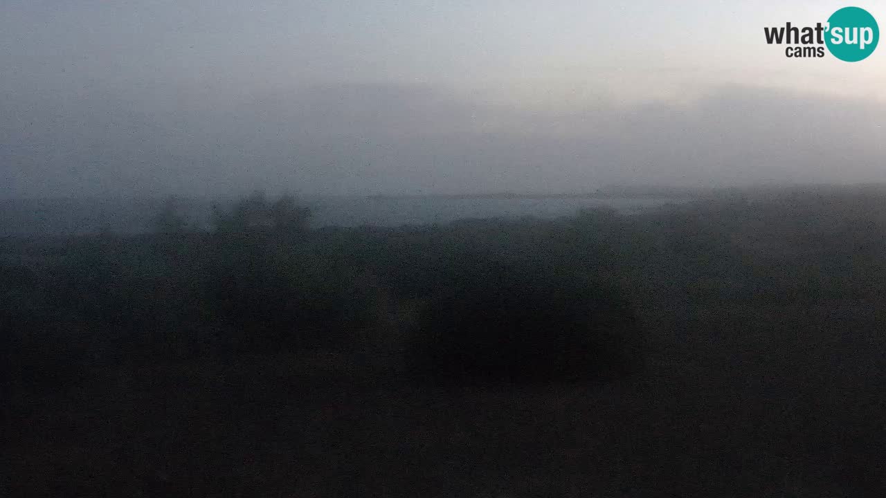 Plaža Mari Ermi | Is Arutas – Oristano