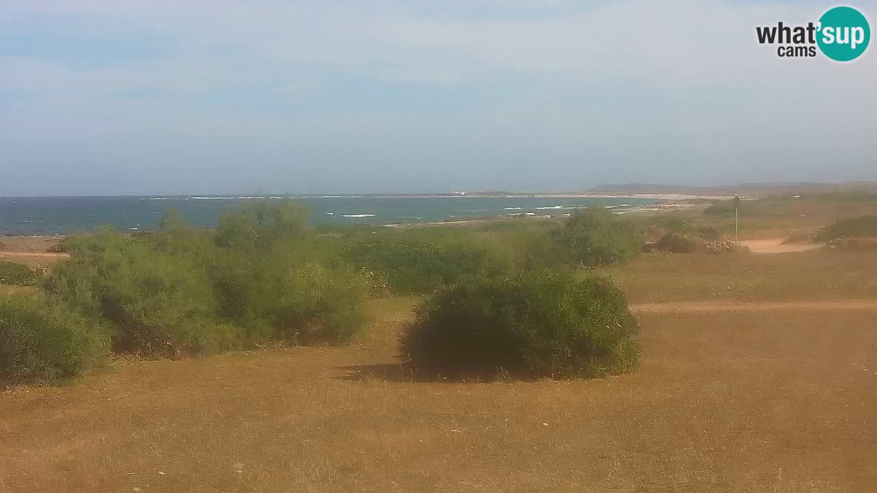Mari Ermi Strand | Is Arutas – Oristano