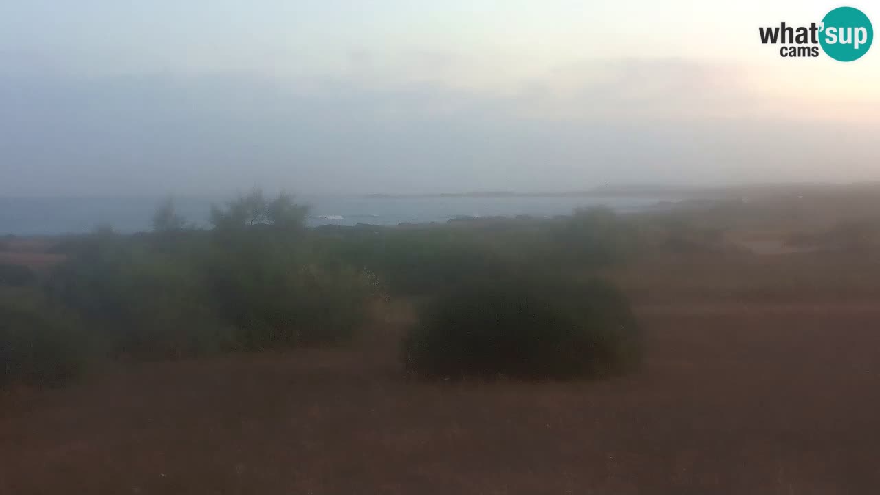 Spiaggia Mari Ermi | Is Arutas – Oristano