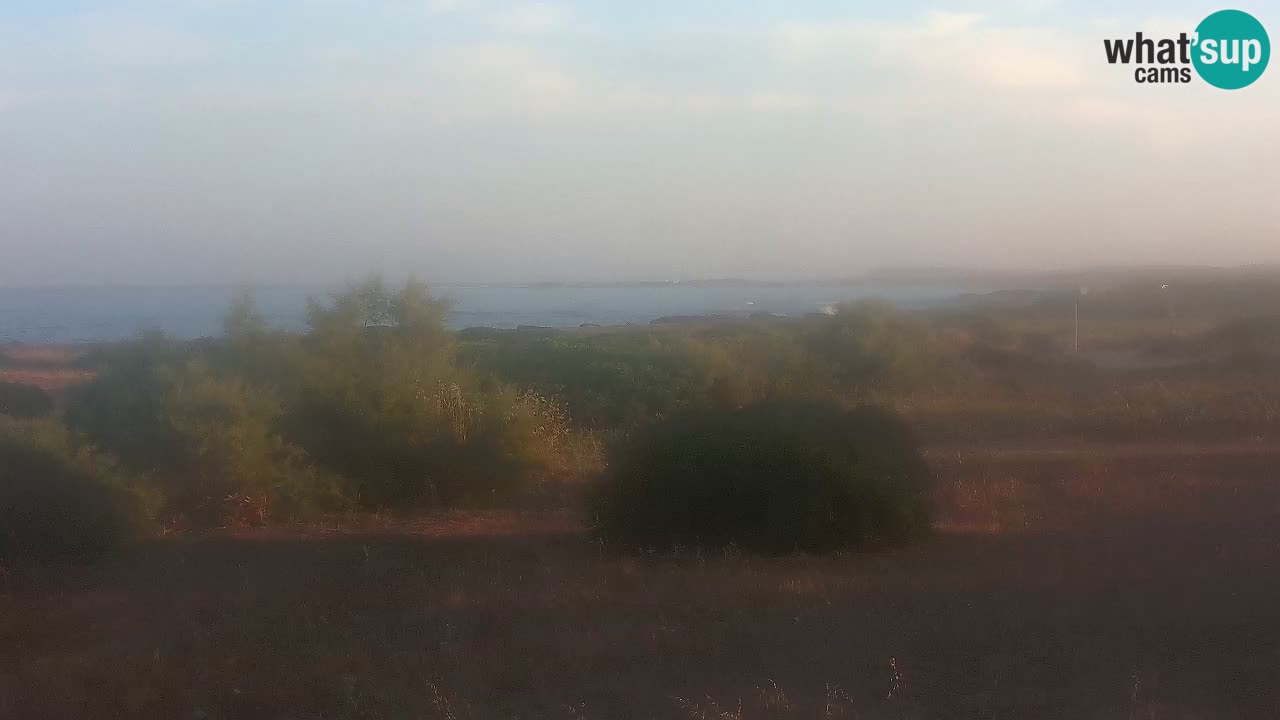 Playa Mari Ermi | Is Arutas – Oristano