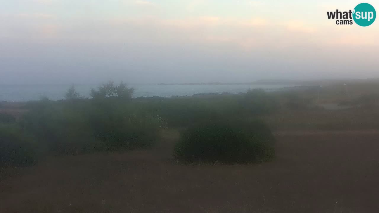Plaža Mari Ermi | Is Arutas – Oristano