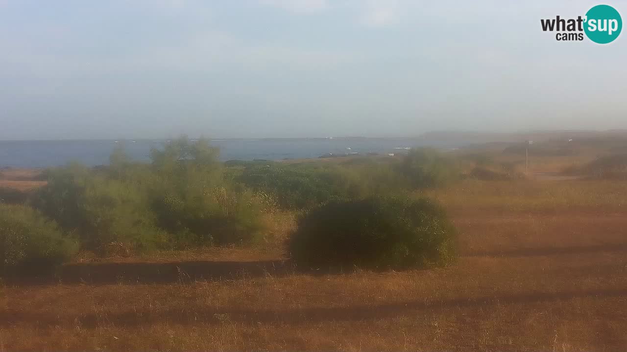 Mari Ermi Strand | Is Arutas – Oristano