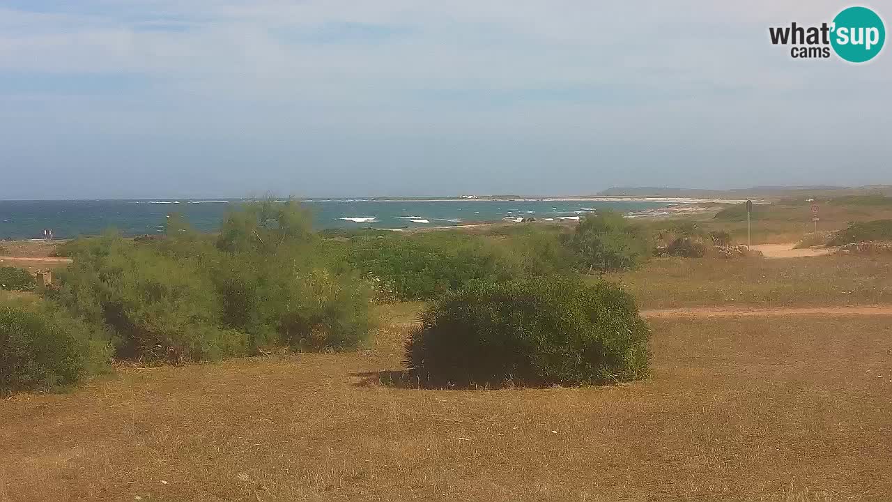 Mari Ermi Strand | Is Arutas – Oristano