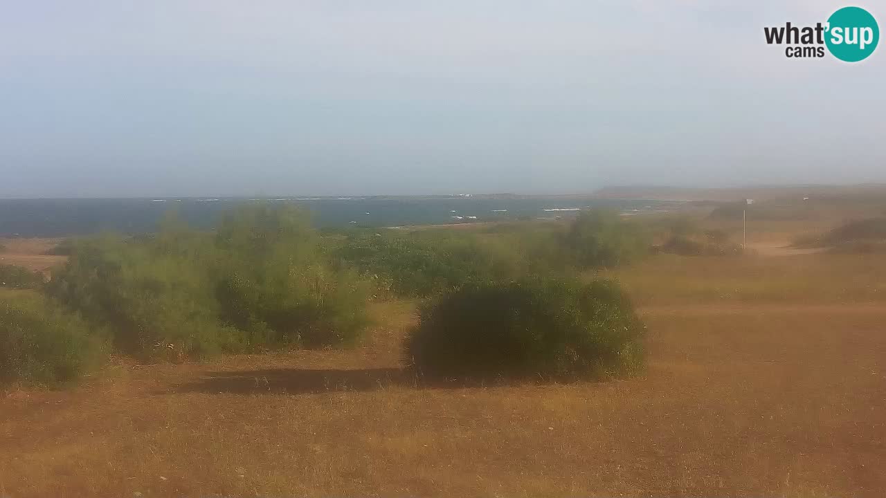 Plaža Mari Ermi | Is Arutas – Oristano